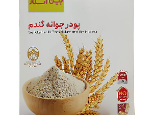 پودر جوانه گندم بین استار(دکتر بیز)